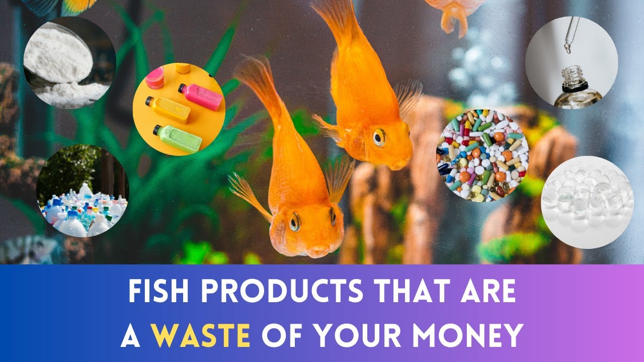 Fish Vet Files: Fish Products That Are A WASTE of Money