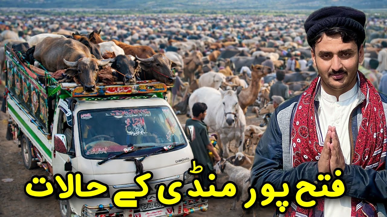 Darya kha se JAC X200 Par Janwar Load Kar Ke Fatehpur Mandi Tak Safar #travelvlog #road #life 