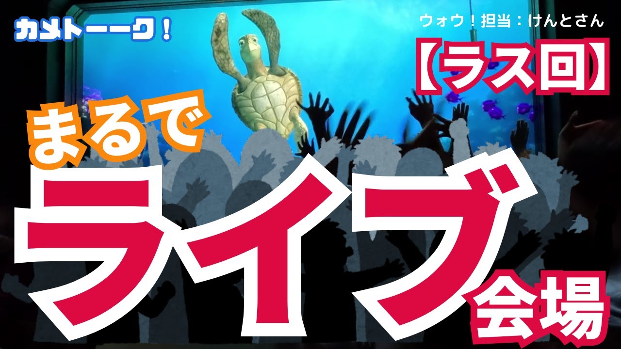 【ラス回】テンションMAX！！まるでライブ会場！！【東京ディズニーシー・タートルトーク】
