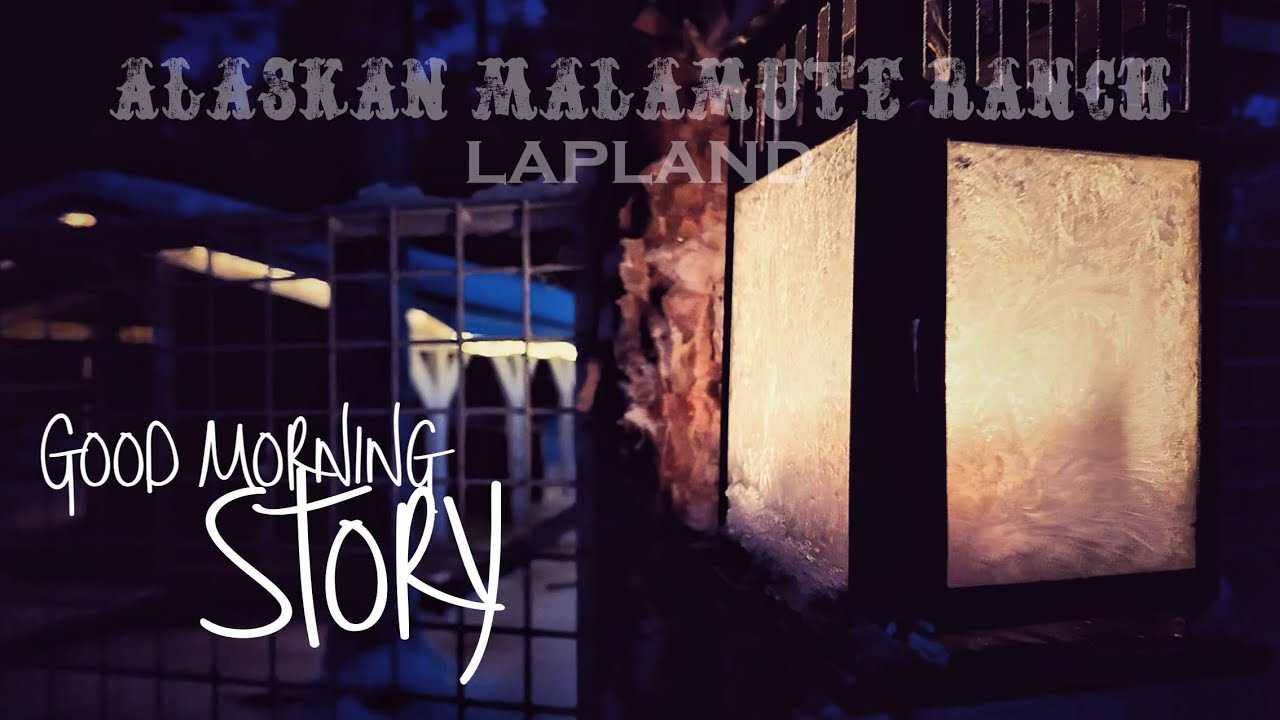 Good Morning Story #2 | Winter in Lappland, Polarlichter und unser neues Tipi 🇸🇪❄️❤️
