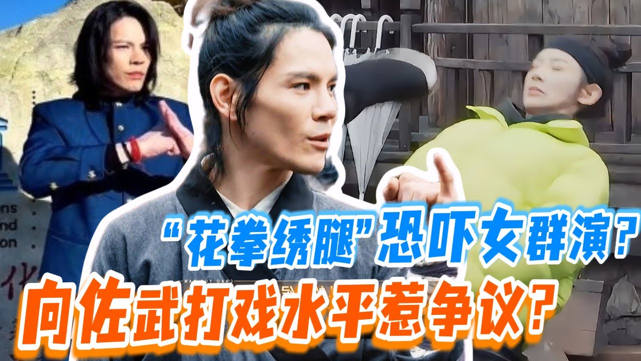 向佐真實武打水平如何？向佐片場秀“花拳繡腿”恐嚇女羣演惹爭議！| #肖顺尧 #水龙吟 #向佐 #拳力以赴的我们 #拳击 #拳击比赛 #张伟丽 #ufc #youkushow