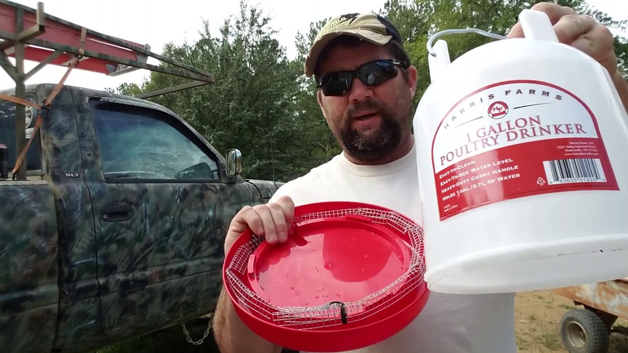 Cheap open bee feeders