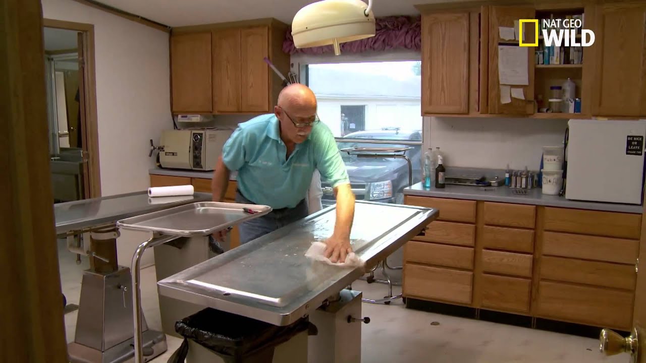 L'incroyable clinique du Dr Pol