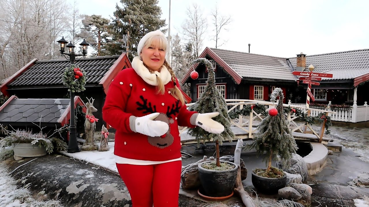 Outdoor Christmas Decor 2024- Fun Christmas Tree DIY