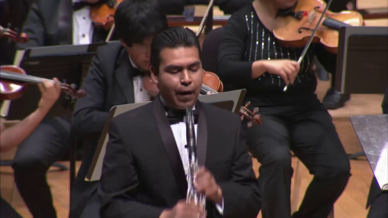 Louis Spohr - Clarinet Concerto No. 1