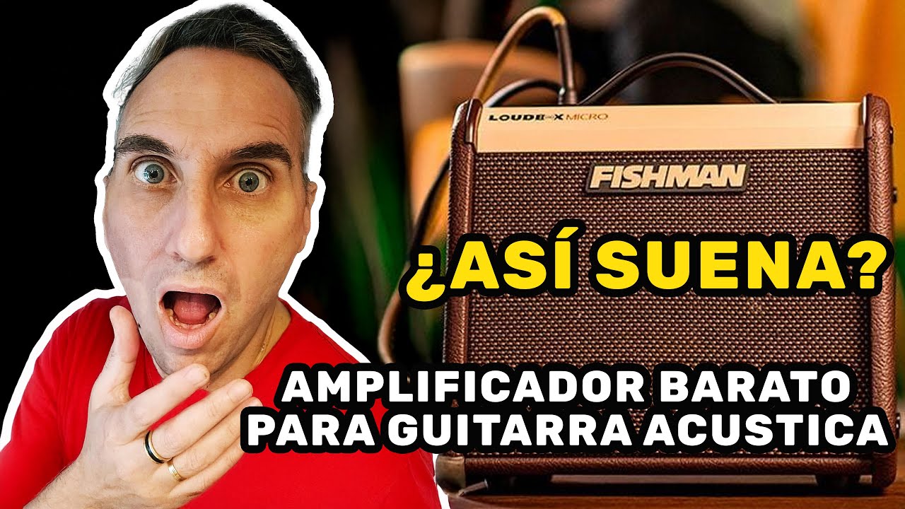 ¿Es Este El Mejor Amplificador De Guitarra Acústica Por Su Precio? Fishman LoudBox Micro