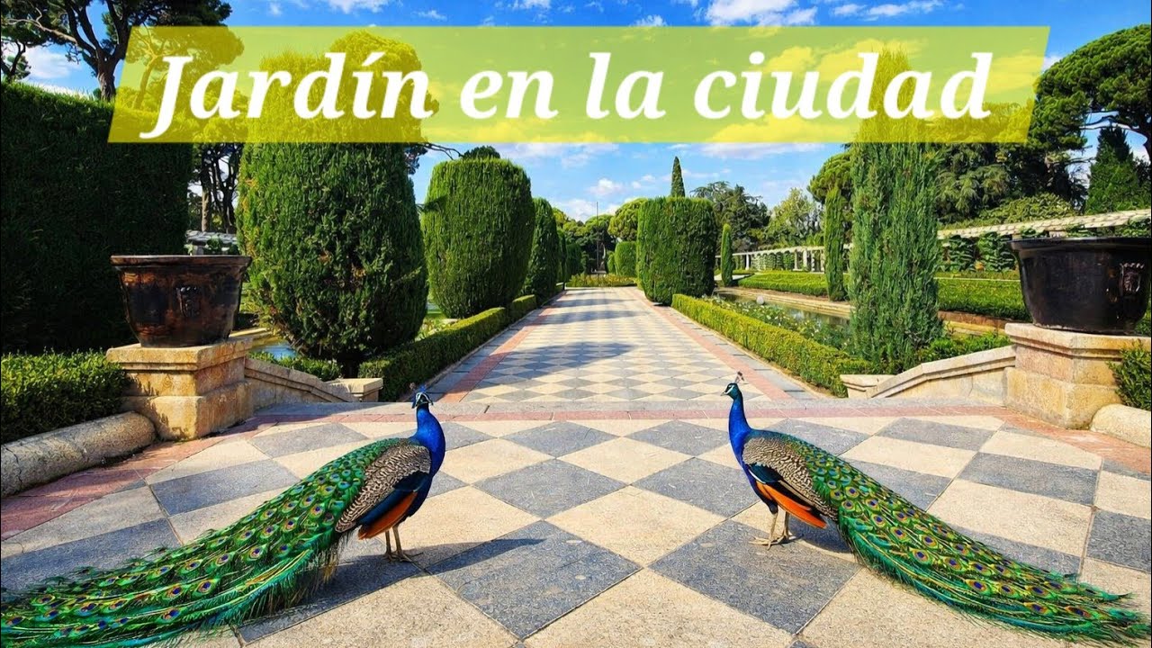 Paseo entre fuentes y aves en una mañana soleada de otoño | Caminata relajante 4K sin comentarios