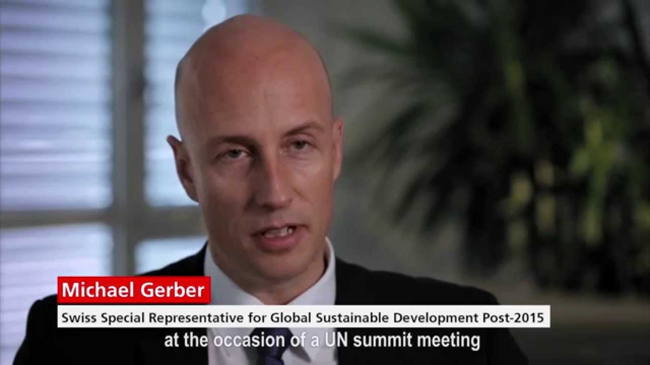 Sustainable Developement Goals: Which role does the official statistics play?