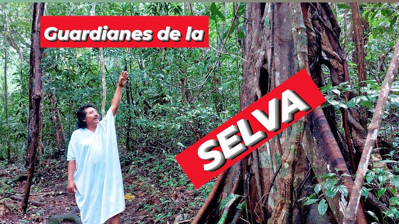 Campamento Lacandón🔻3 LAGUNAS, Chiapas / SELVA LACANDONA ¿Qué hacer, Dónde está? Lugares Turísticos