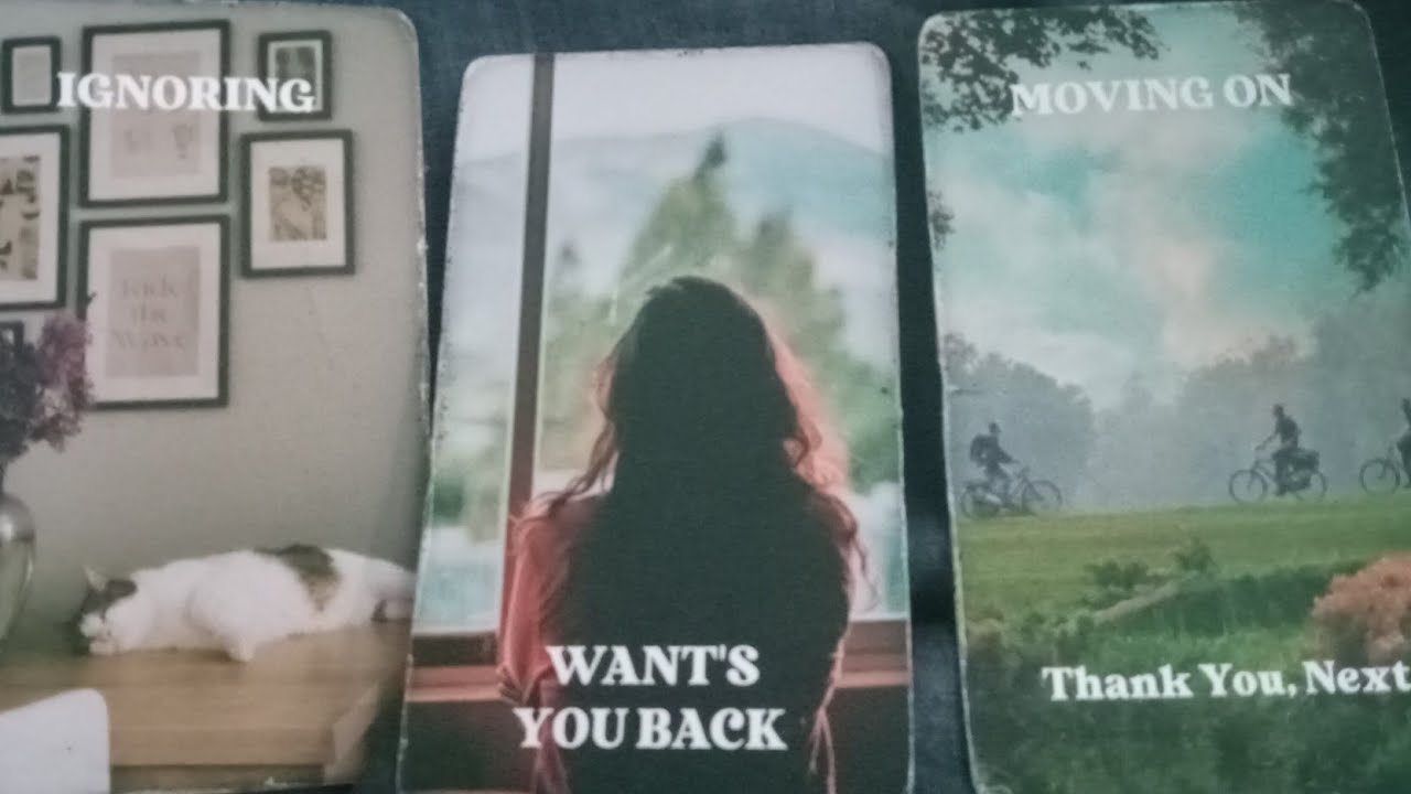 YOU TOOK YOUR LIGHT💯 LEFT THEM IN THE DARK NOW THERE MISERABLE#tarotreading #energy #free #std 