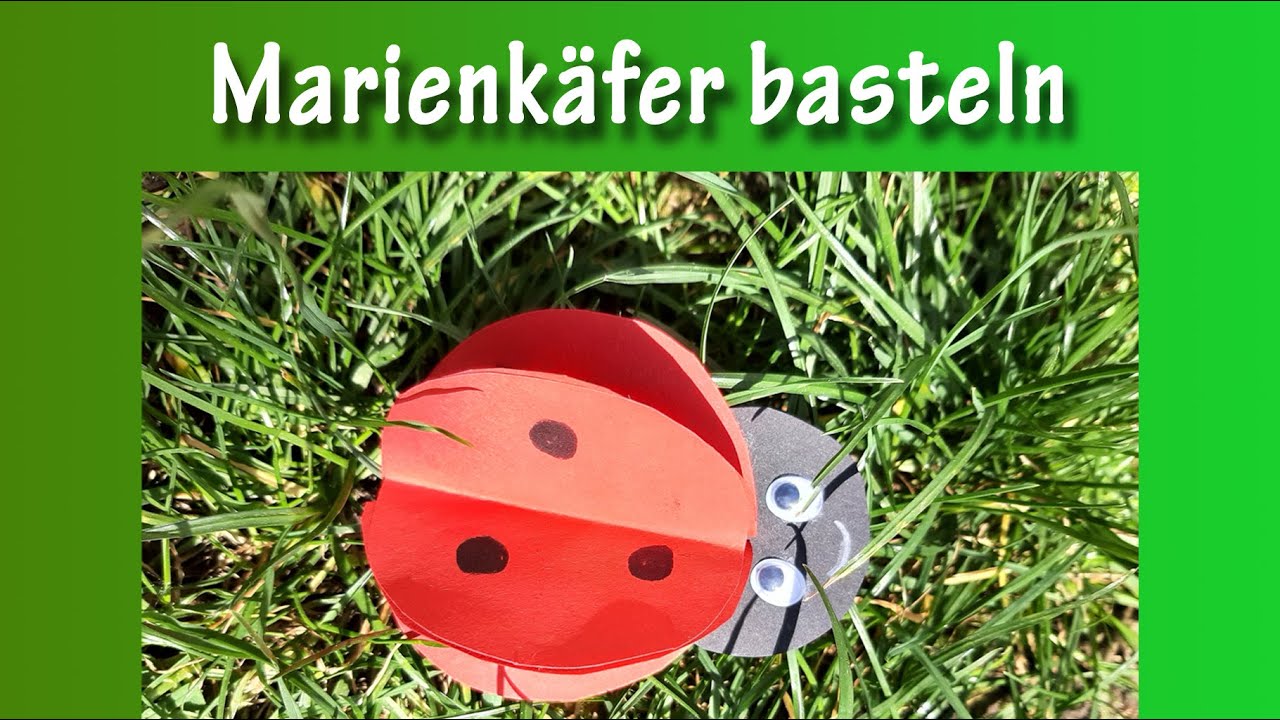 Marienkäfer basteln 🐞