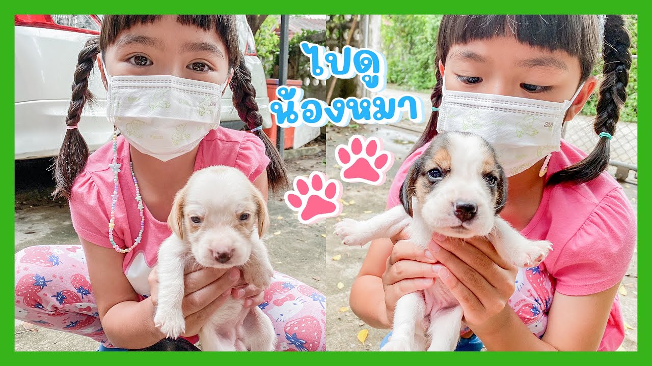 YimYamFamily | พายิ้มแย้มไปดูน้องหมา