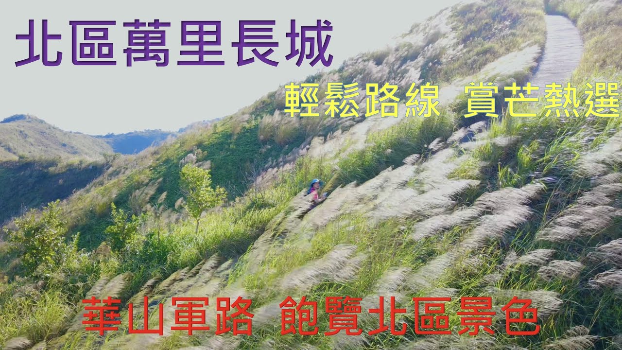 北區萬里長城 - 華山軍路 – 絕美芒草景 – North District Great Wall – Wa Shan Military Road - ｛山野篇 Hong Kong Hiking｝-