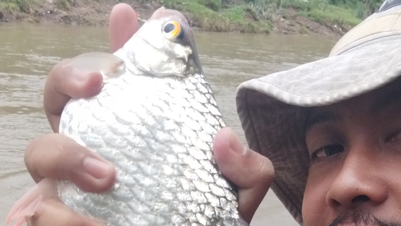 EDAN ‼️ SEBULAN GAK MANCING DI SPOT INI IKANNYA SUDAH PADA BESAR ‼️