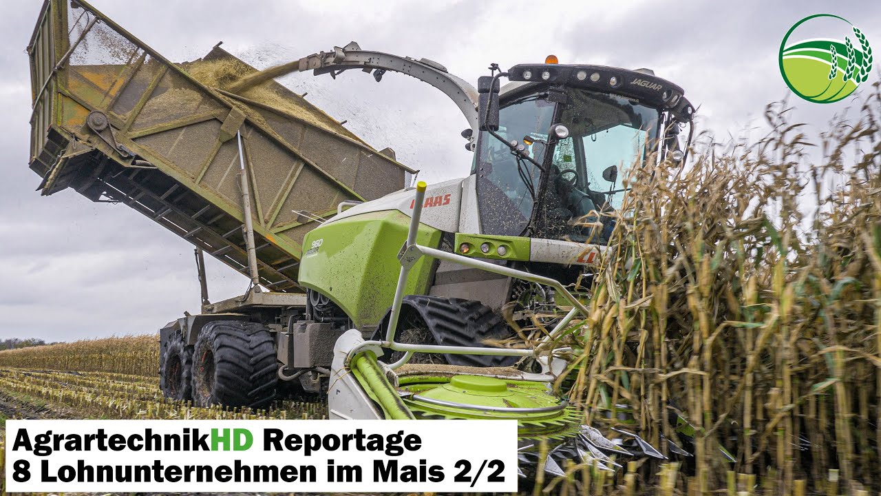Chopping maize report 2/2 | 10 forage harvester from John Deere, Claas, New Holland