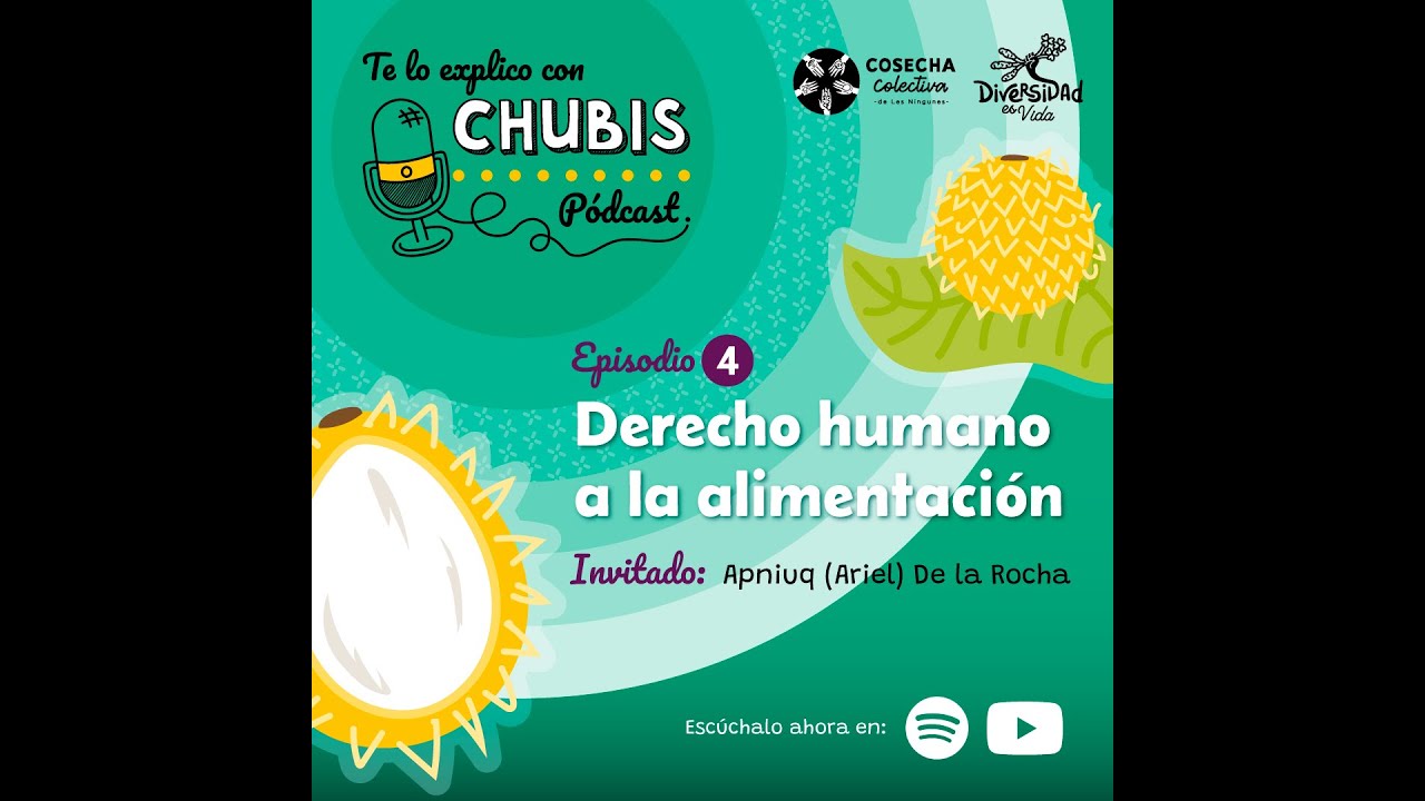 Derecho Humano a la Alimentación
