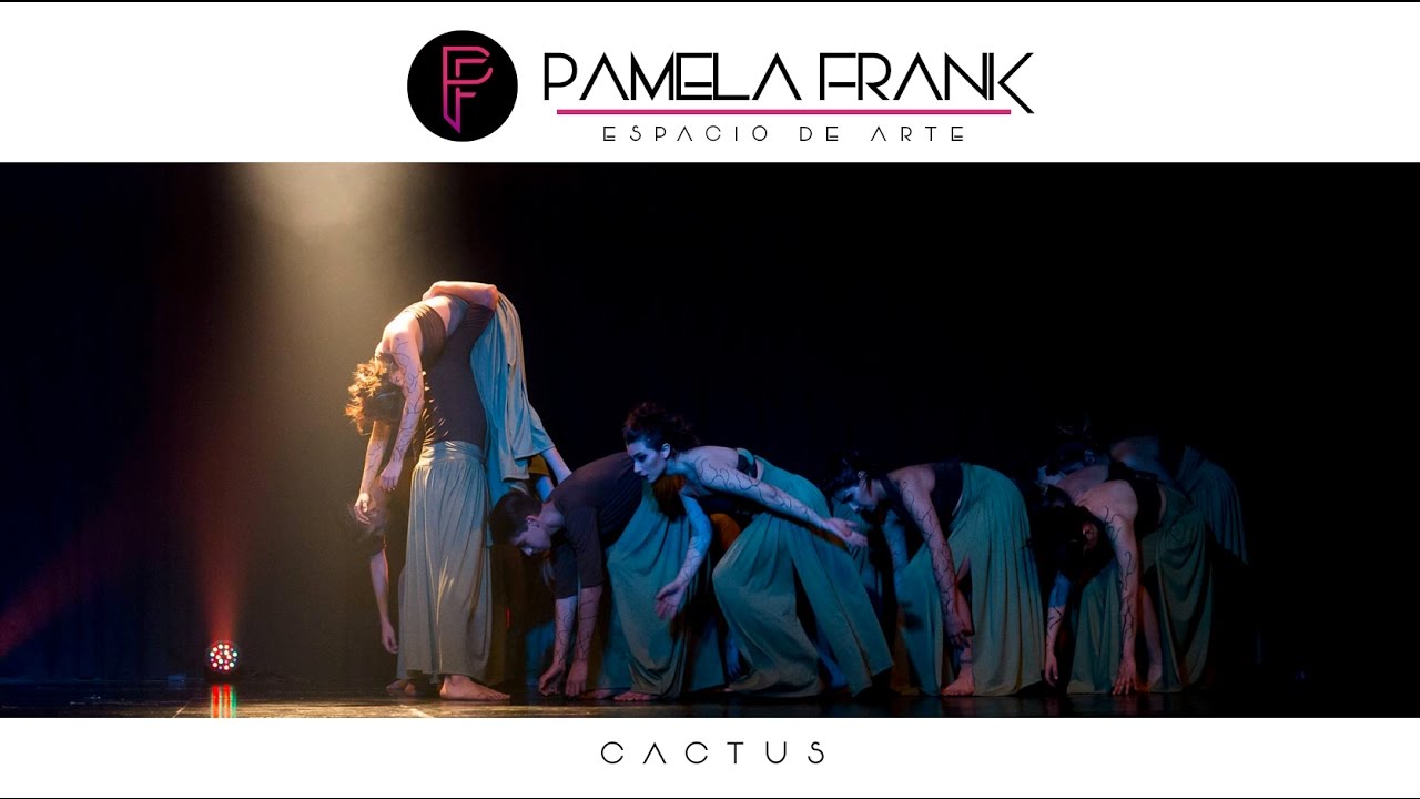 ADULTO INICIAL - CACTUS