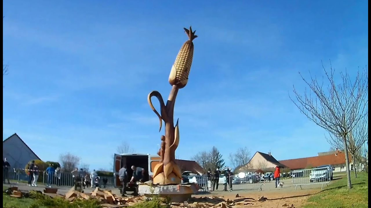 Le sculpteur sur bois à la tronçonneuse Jacques Pissenem redonne vie à un orme centenaire !
