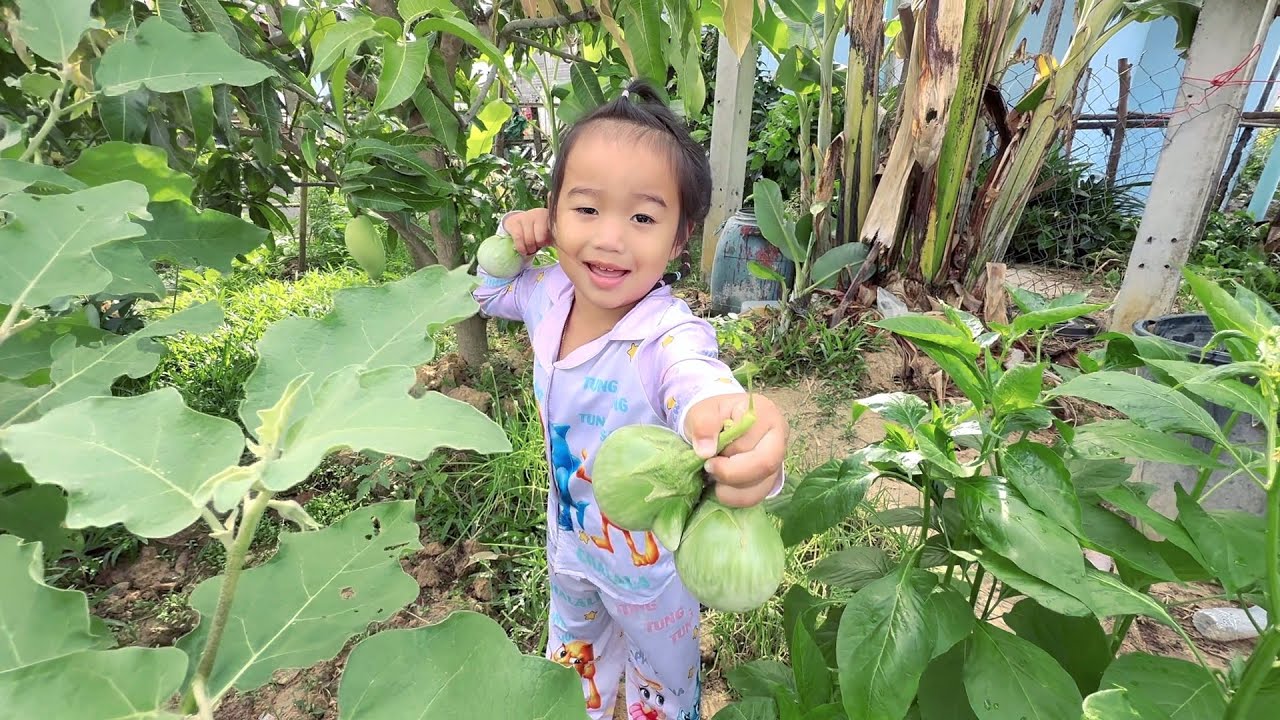 6 มีนาคม ค.ศ. 2026 วันนี้แม่จอยขอมะม่วงนำน้องวาสนาไม่ยอมให้เลยจ้า บอกว่าจะเก็บไว้ให้พ่อบุญจ้า