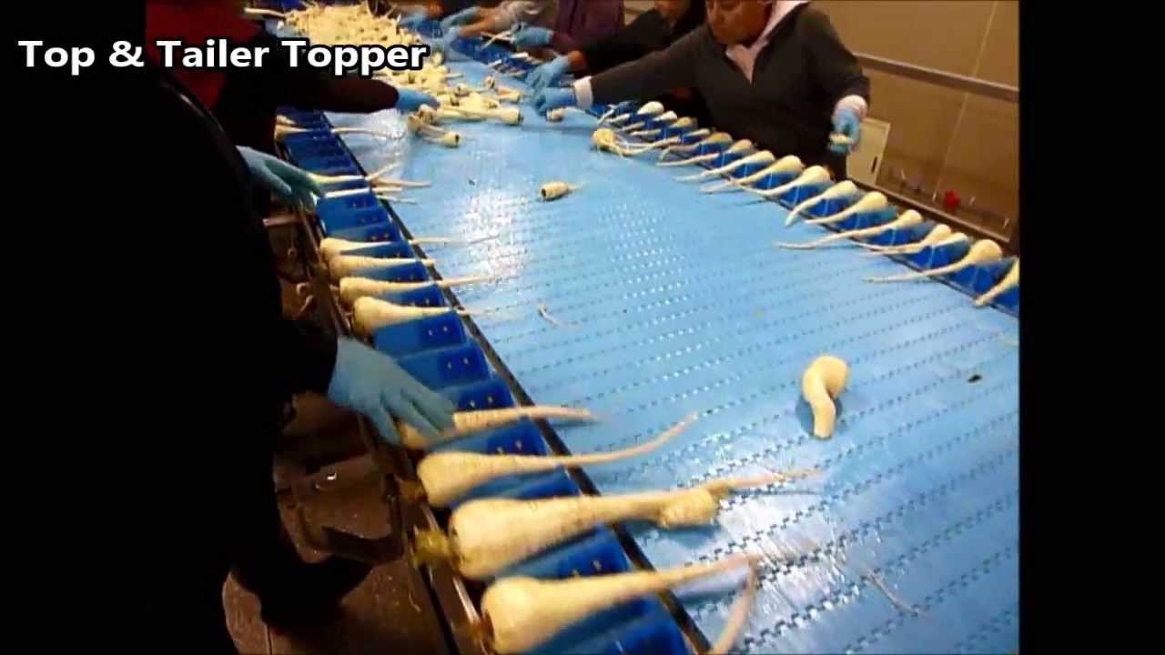 Haith Parsnip Topper Range