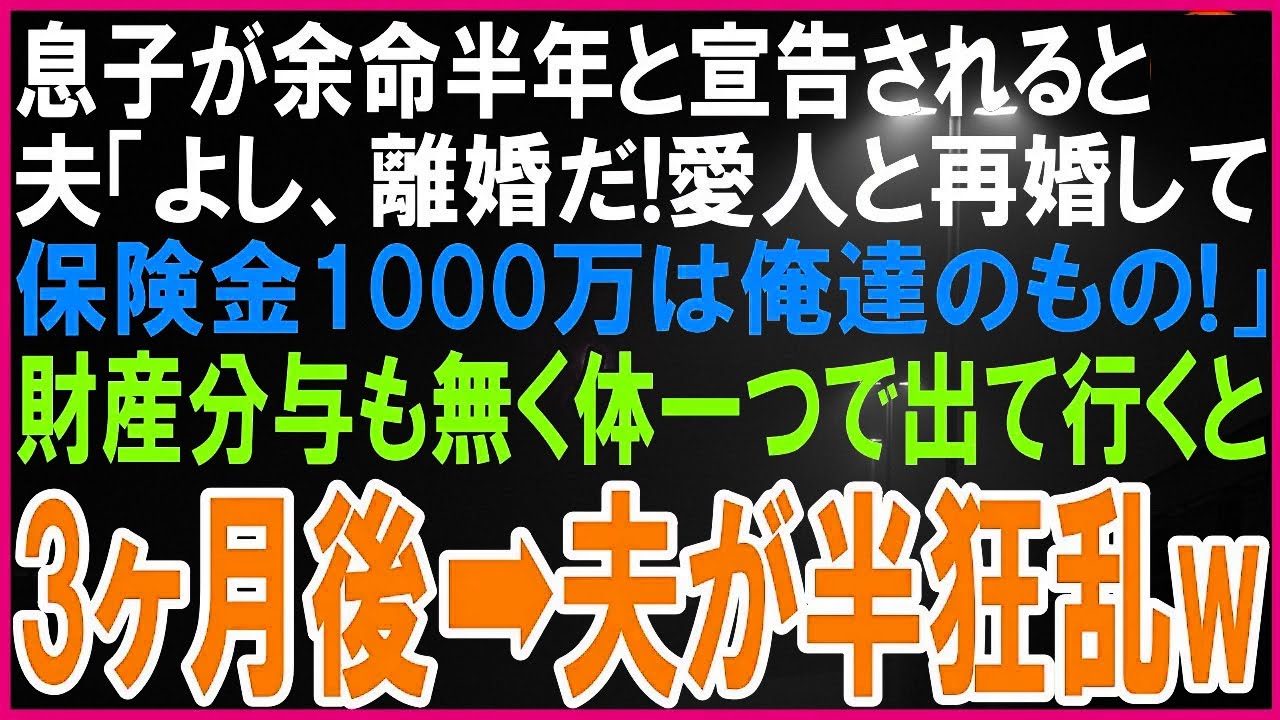 20歳の息子が余命半年宣告された途端、夫「即離婚だ！愛人と再婚するw保険金1000万は俺達のもの！」財産分与も無く出て行った3ヶ月後➡夫が半狂乱