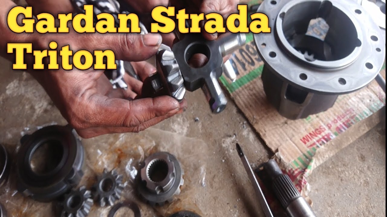 Gardan strada Triton (LSD)