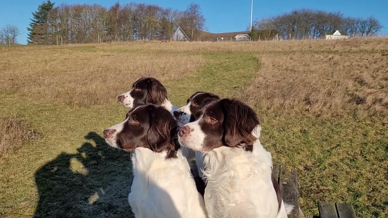 søndagsmorgen tur i paradiset