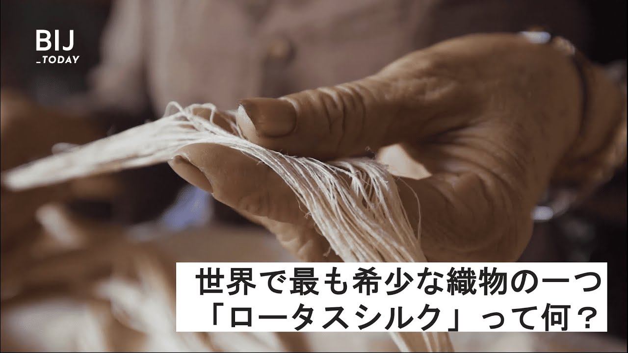 世界で最も希少な織物の一つ「ロータスシルク」って何？