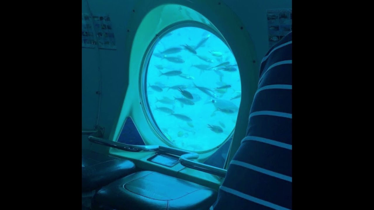 [FREE] Playboi Carti x Pierre Bourne Type Beat - 