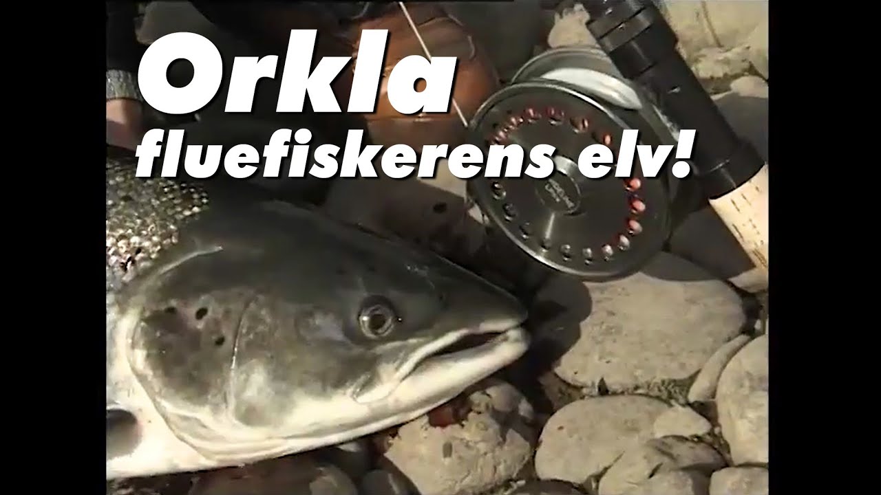 Orkla - fluefiskerens elv! (Full Movie - Norwegian)