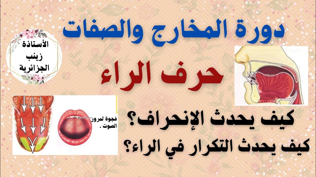 🔟حرف الراء /مخرجه وصفاته /أخطاء نطقه/الفرق بين الراء المفخمة و مرققة/ترتيب الحروف  [ل،ن،ر]على اللسان