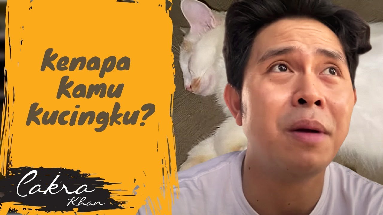 Benerin Tangga Rumah Pohon Tercinte! Ehh Kok Kucingku Tiba-Tiba Tepar :(
