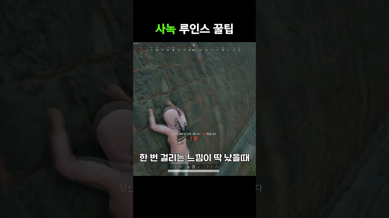 사람들이 잘 모르는 사녹 루인스 꿀팁