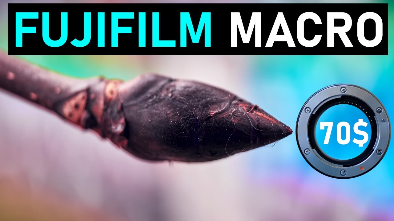 The Fujifilm 18-55 Kit Lens can shoot macro! #fuji #fujifilm