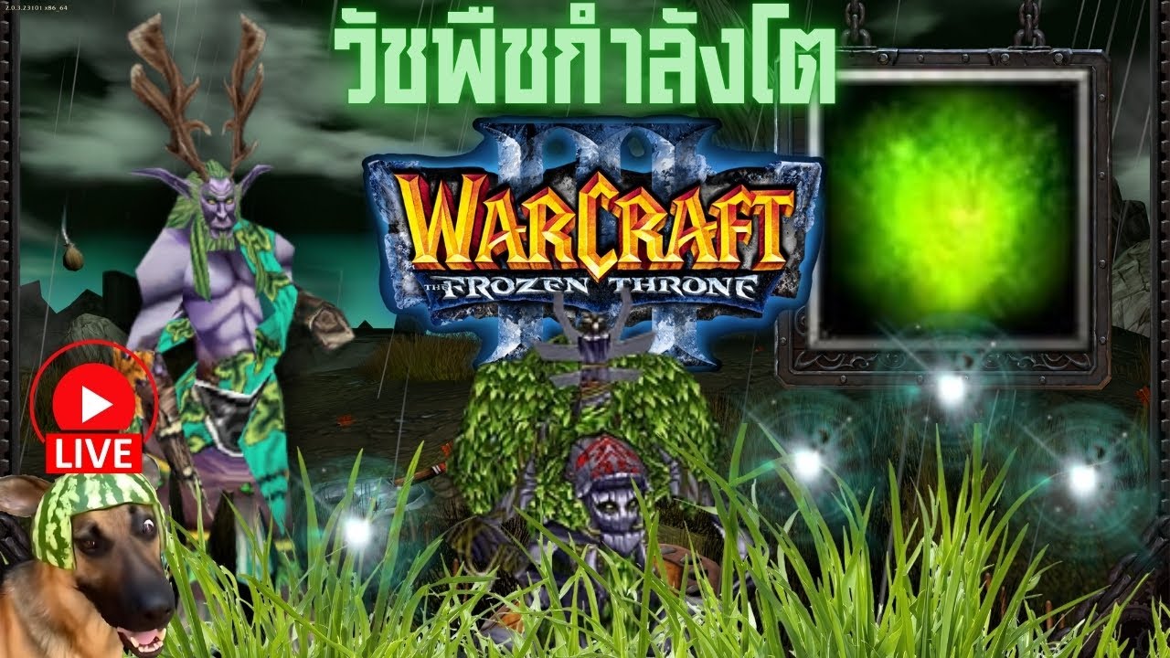 หัดเล่นไนท์เอล์ฟ EP. 6 WarCraft 3 Night Elf Training