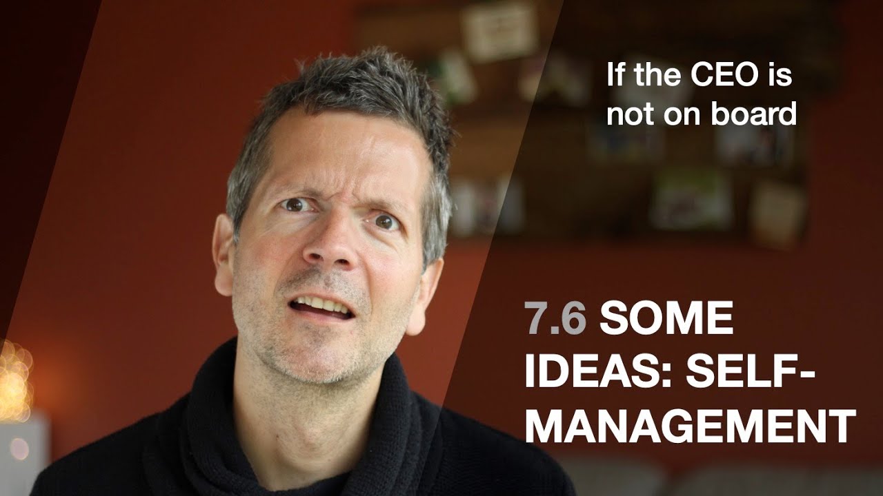 7.6 Some ideas: self-management (If the CEO is not on board)