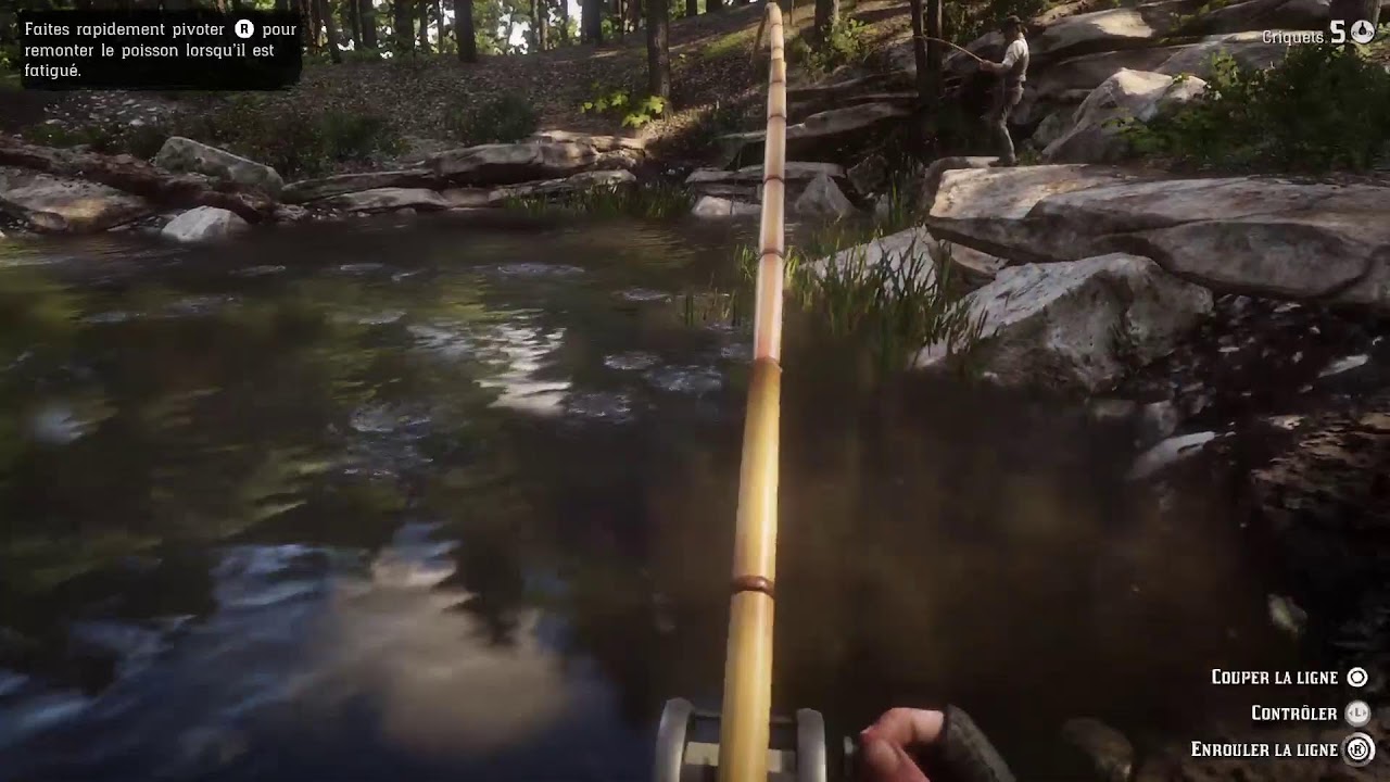 Live Red Dead Rédemption 2