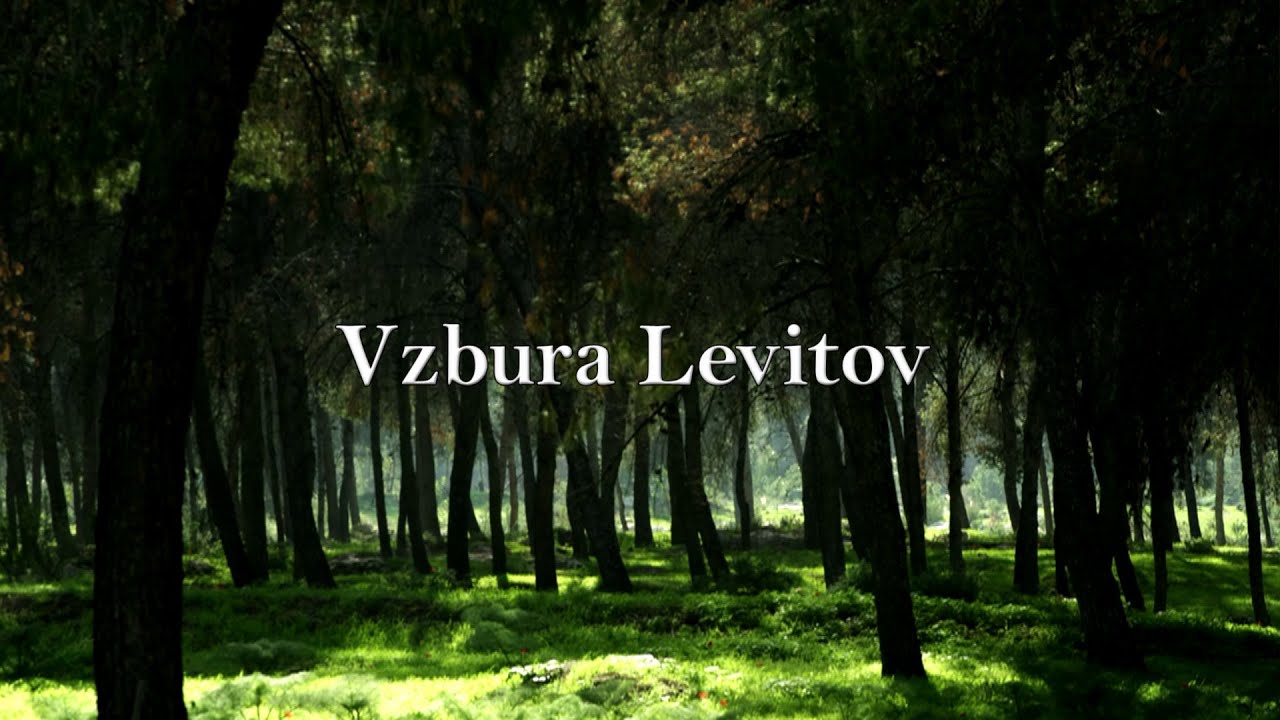 BIBLIA 20 | Vzbura Levitov