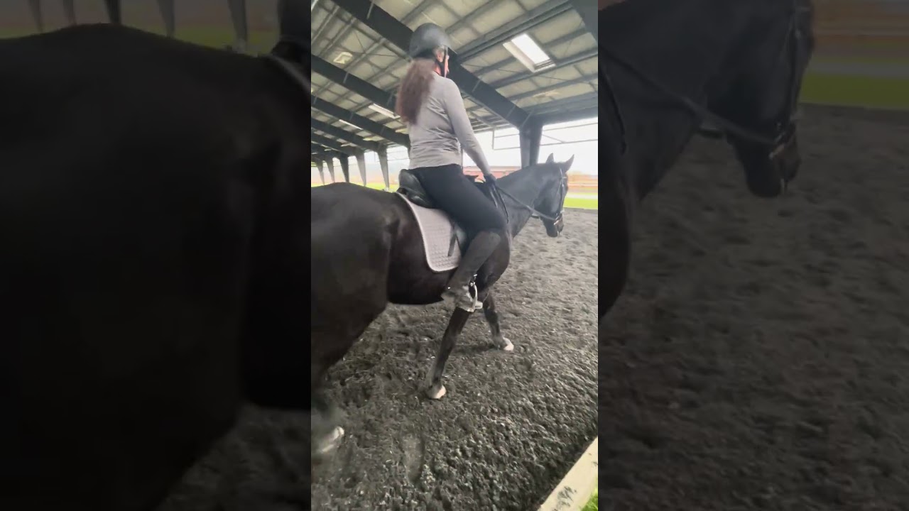 2022 Eventing Starter Test