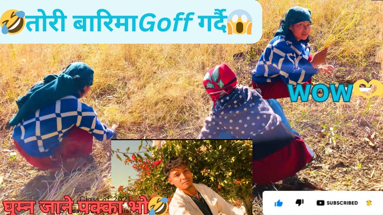goff हानीयो🤣तोरी छिन्दै Wow😱/😘केती संग😱Goff गर्दै🤣New video@KhimuSita 