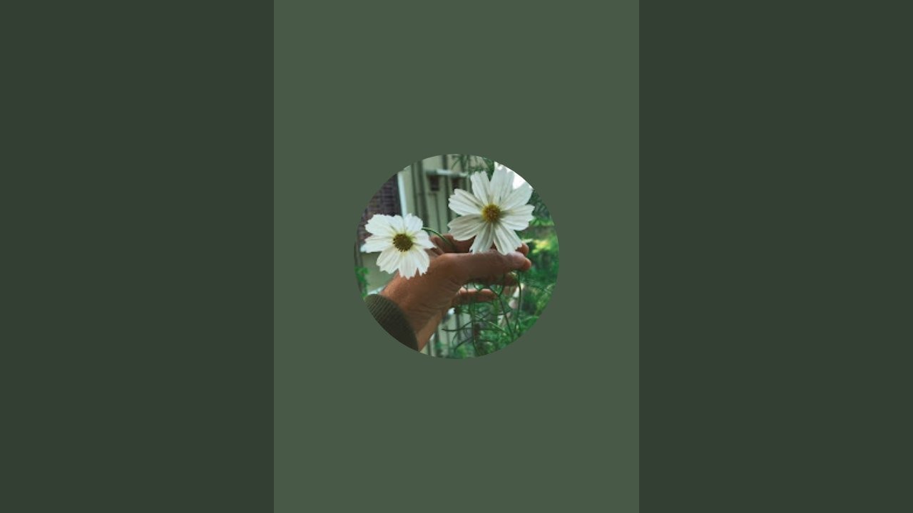 Pauls gardens 🌺🌹 is live!
