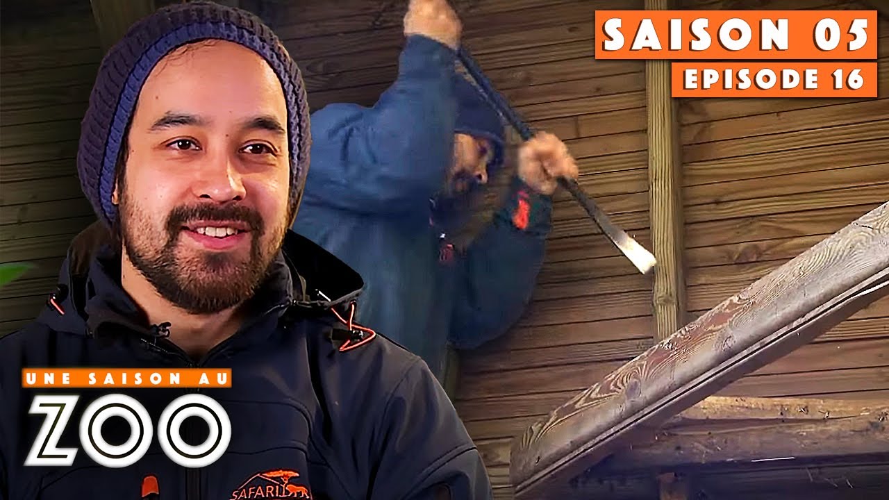 Kataï et Barbara réaménagent la Volière ! | S05EP16 | Intégrale | Une saison au zoo