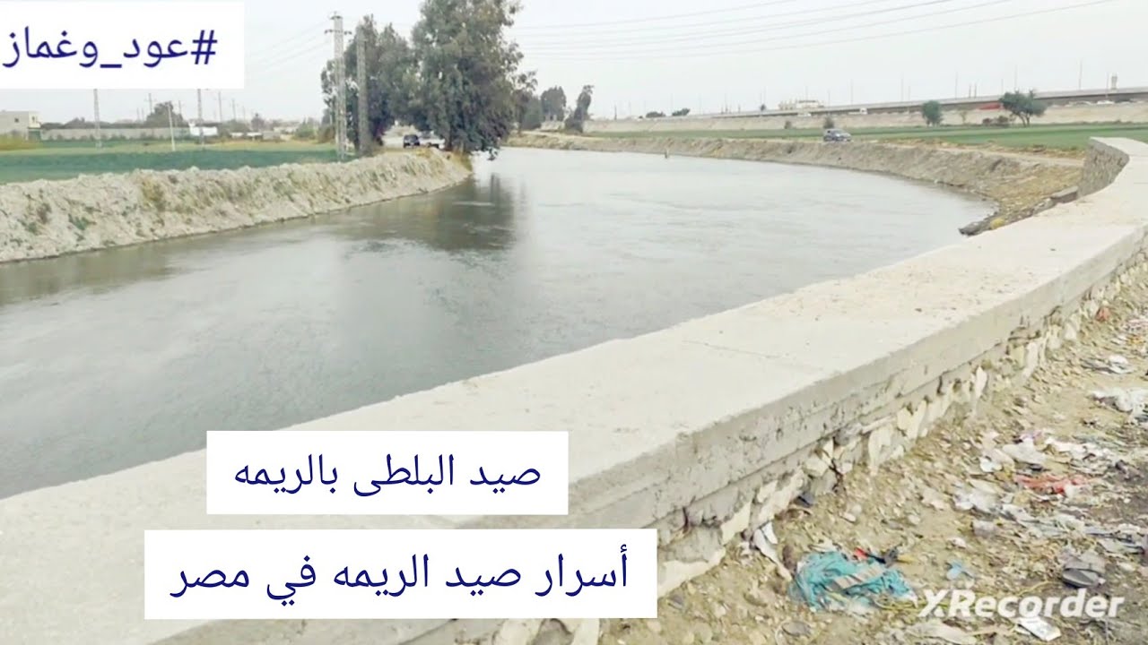 صيد سمك البلطي بالريمة - أسرار صيد الريم في مصر