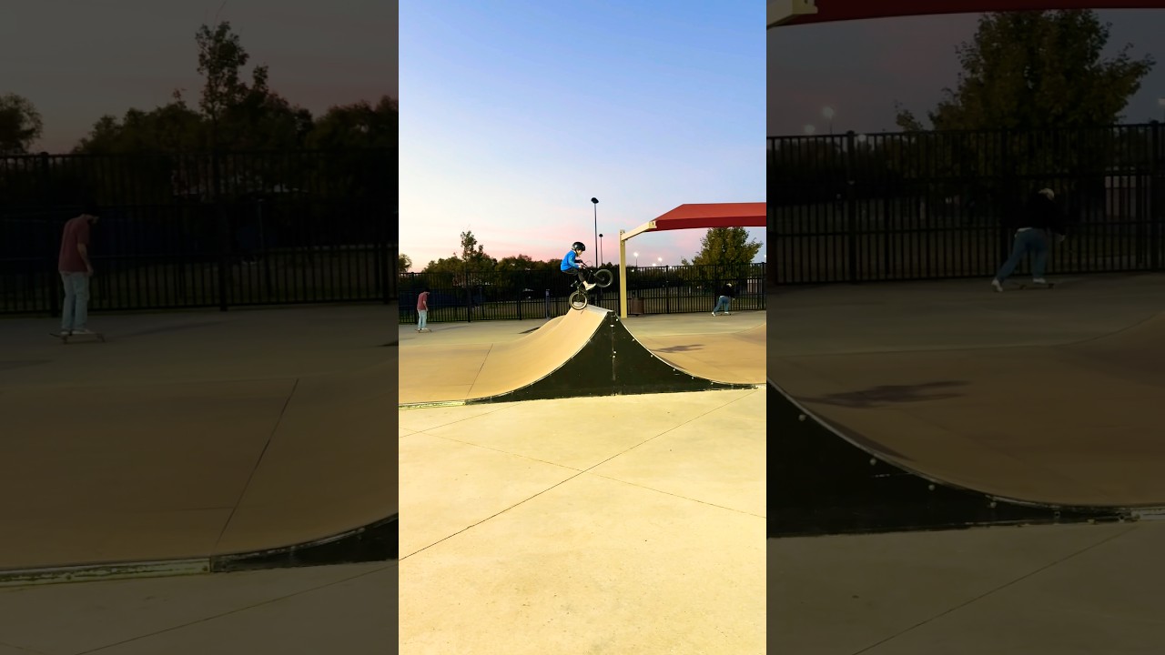 SKATEPARK SPINE ✅ NEW BMX SKILL UNLOCKED! #bmx #skatepark #shorts