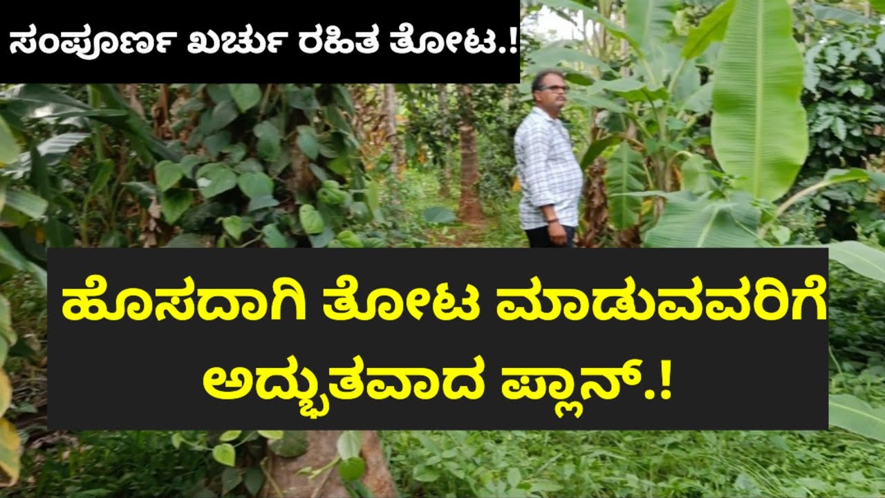 ಹೊಸದಾಗಿ ತೋಟ ಮಾಡುವವರಿಗೆ ಅದ್ಭುತವಾದ ಪ್ಲಾನ್.! ನನ್ನ ತೋಟಕ್ಕೆ ಒಂದು ರೂಪಾಯಿನೂ ಖರ್ಚು ಮಾಡಲ್ಲ.!