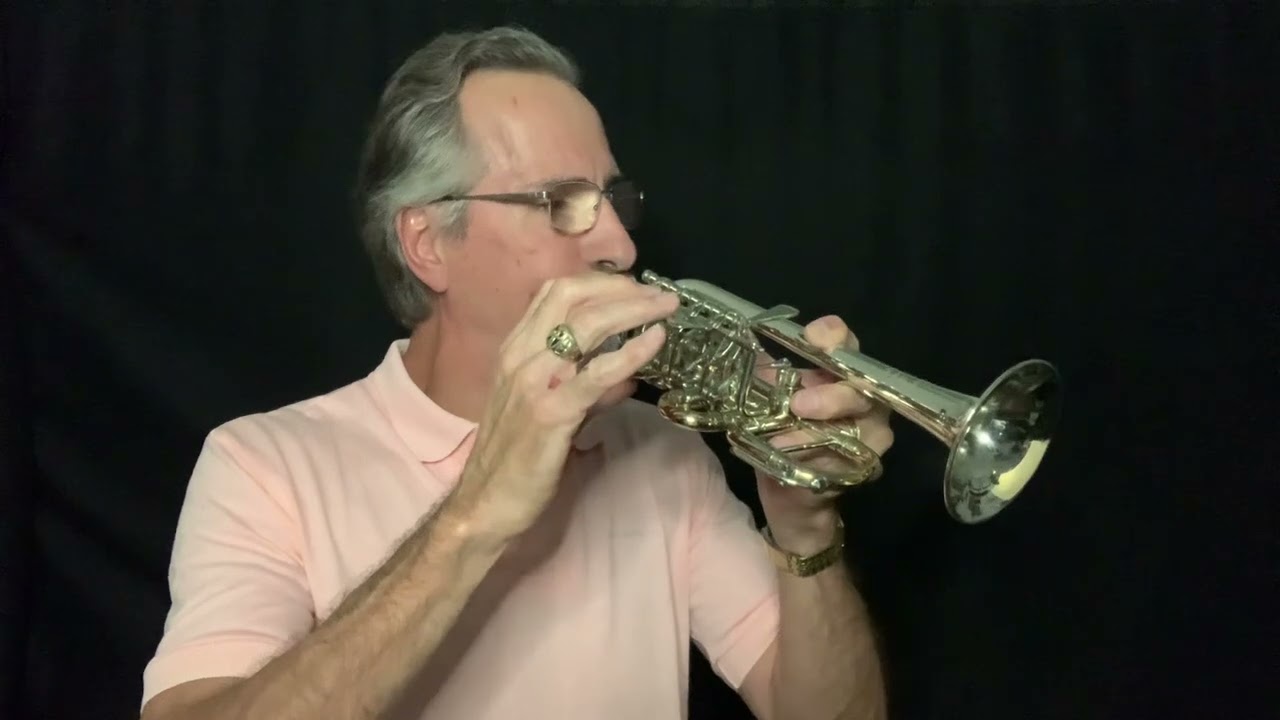Meister Johannes Scherzer 8111ST Side Action Rotary Valve ( SARV) Bb/A Piccolo Trumpet.