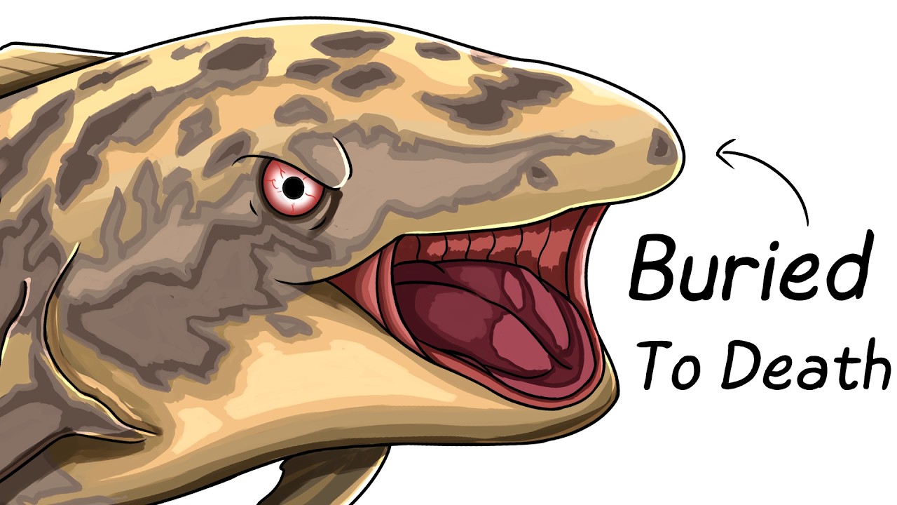 Why It Sucks To Be Born As a Lungfish
