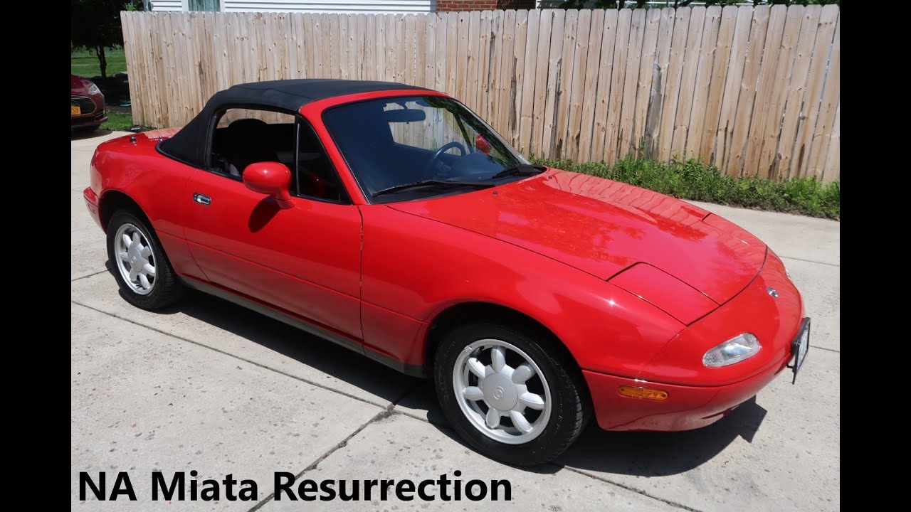 Mazda Miata NA Resurrection Detail Part 1 (Wash & Decontamination)