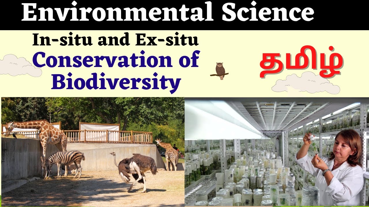 Conservation of Biodiversity in Tamil | In situ and Ex situ conservation | Chemistry Trending