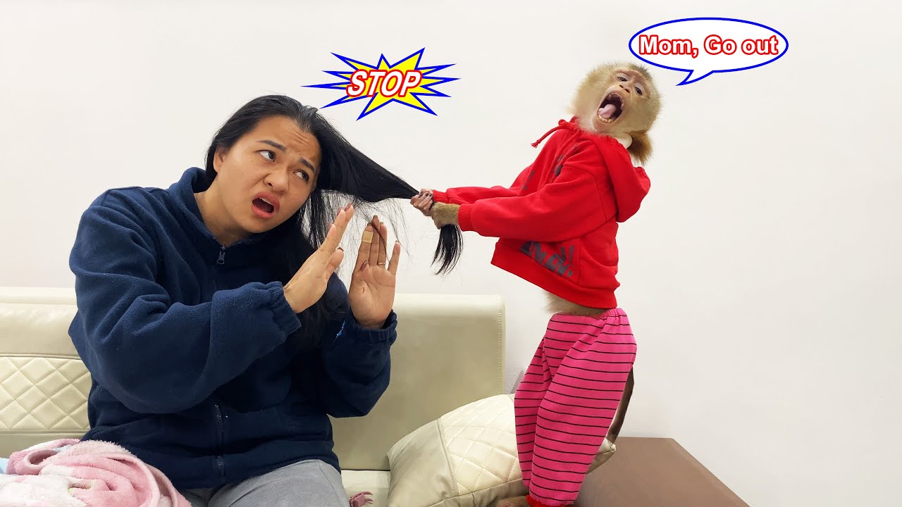 Monkey LYLY  begged her mother to go out and play, but always received a 